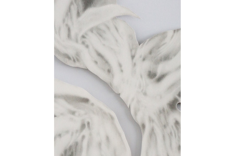 passageways, Februar 2026, Felicitas Zenke