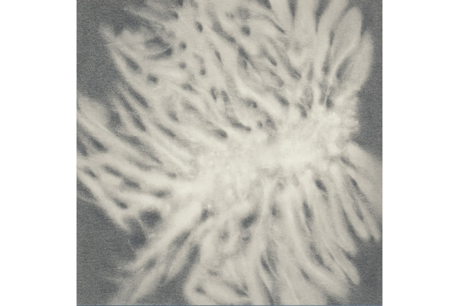 passageways, Februar 2026, Felicitas Zenke