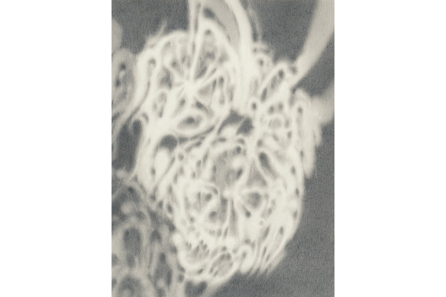 passageways, Februar 2026, Felicitas Zenke