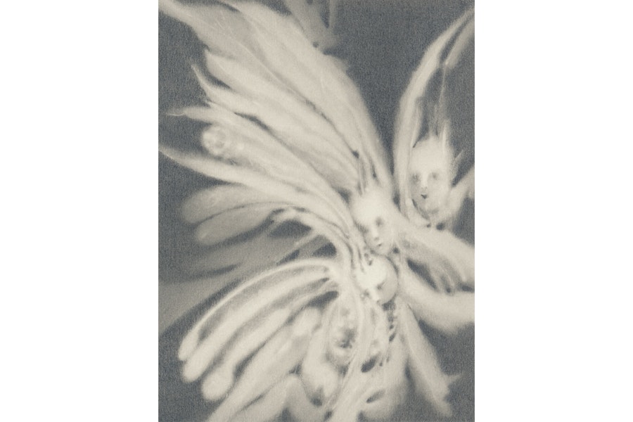 passageways, Februar 2026, Felicitas Zenke