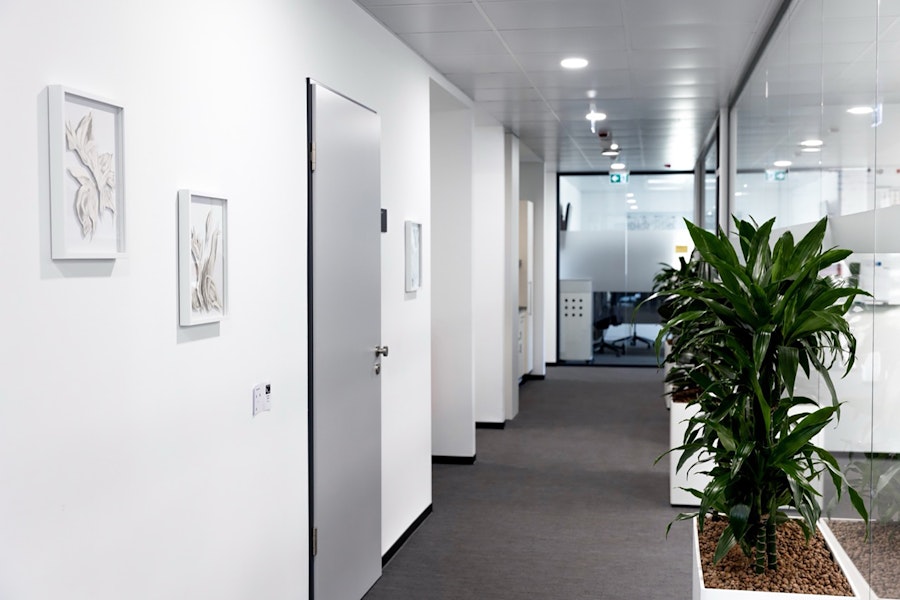 passageways, Februar 2026, Felicitas Zenke