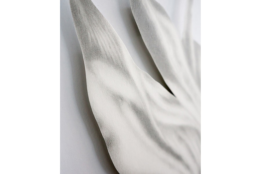 passageways, Februar 2026, Felicitas Zenke