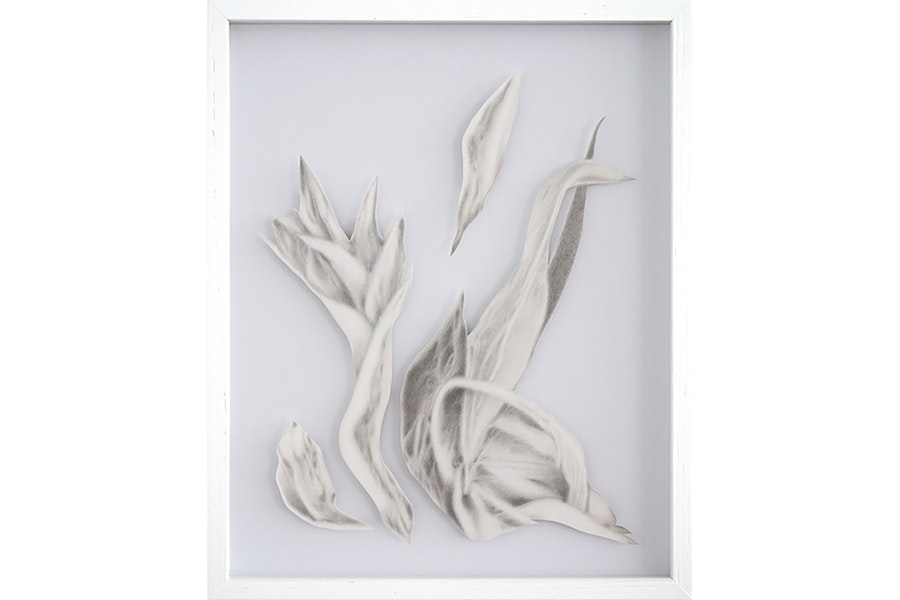 passageways, Februar 2026, Felicitas Zenke