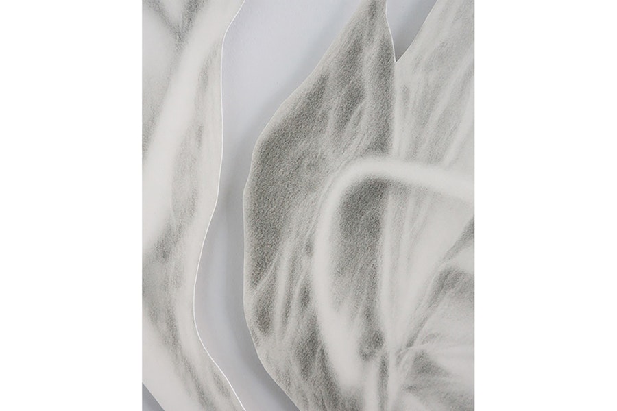 passageways, Februar 2026, Felicitas Zenke