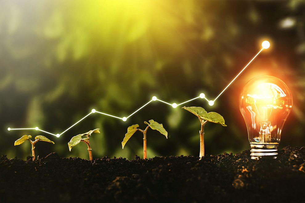 Innovativ bei der Klaus Faber AG Glühbirne befindet sich auf dem Boden, Pflanzen wachsen. erneuerbare Energieerzeugung ist in Zukunft unverzichtbar